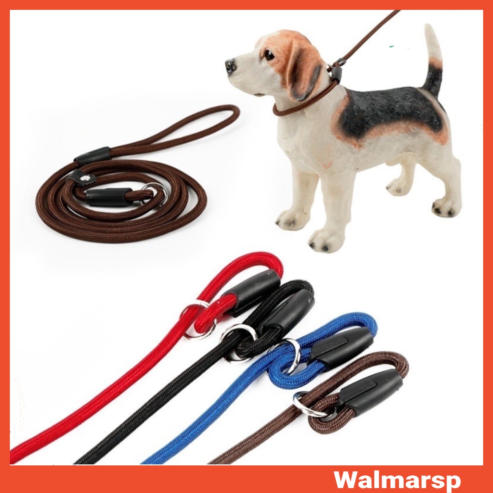 Collar Perros Gatos Flexible Correa De Plomo Correa de perro de Cuerda de tracción caminar entrenamiento
