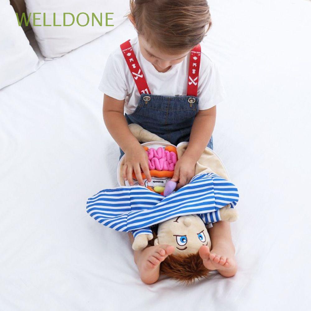 WELLDONE Soft Toy Anatomy Doll Science Puzzle Dolls Anatomical Internal