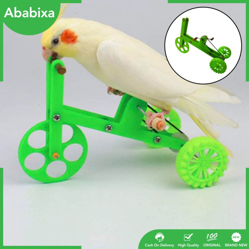 juguetes educativos Juguete de entrenamiento de inteligencia de aves 